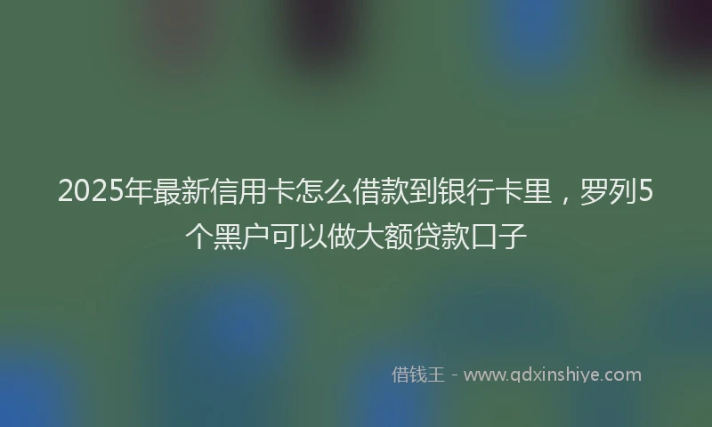 2025年最新信用卡怎么借款到银行卡里，罗列5个黑户可以做大额贷款口子