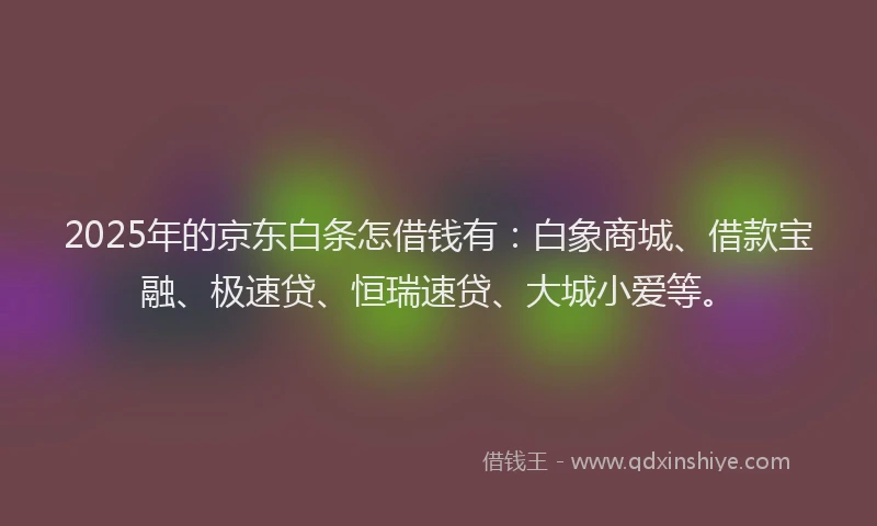 2025年的京东白条怎借钱有：白象商城、借款宝融、极速贷、恒瑞速贷、大城小爱等。