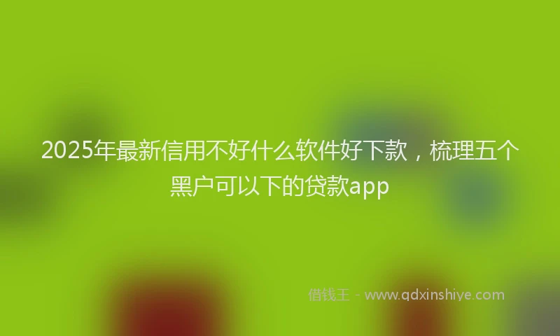 2025年最新信用不好什么软件好下款，梳理五个黑户可以下的贷款app