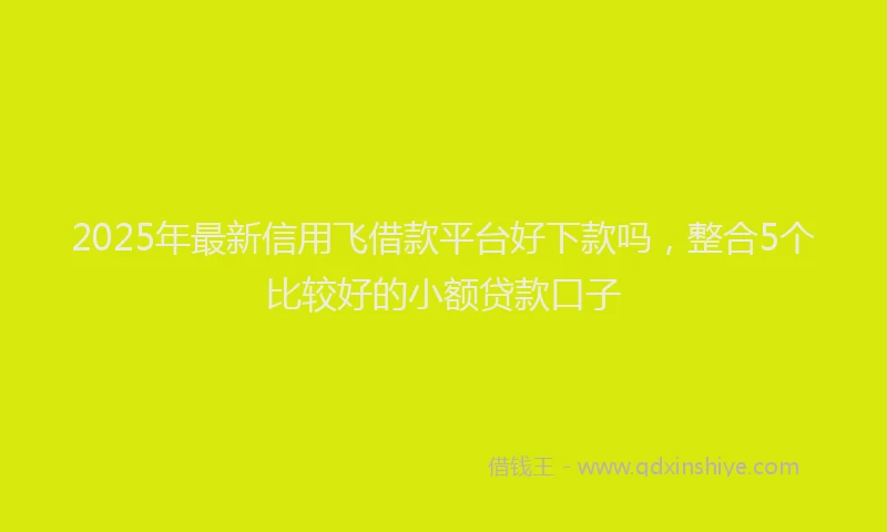 2025年最新信用飞借款平台好下款吗，整合5个比较好的小额贷款口子