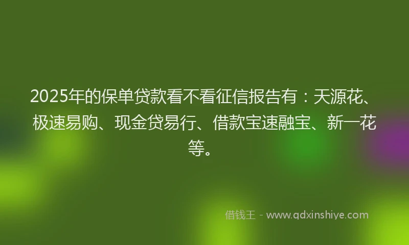 2025年的保单贷款看不看征信报告有：天源花、极速易购、现金贷易行、借款宝速融宝、新一花等。