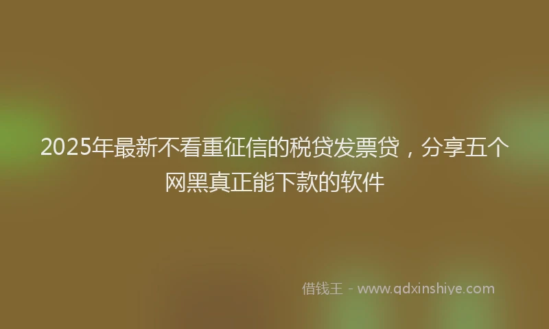 2025年最新不看重征信的税贷发票贷，分享五个网黑真正能下款的软件