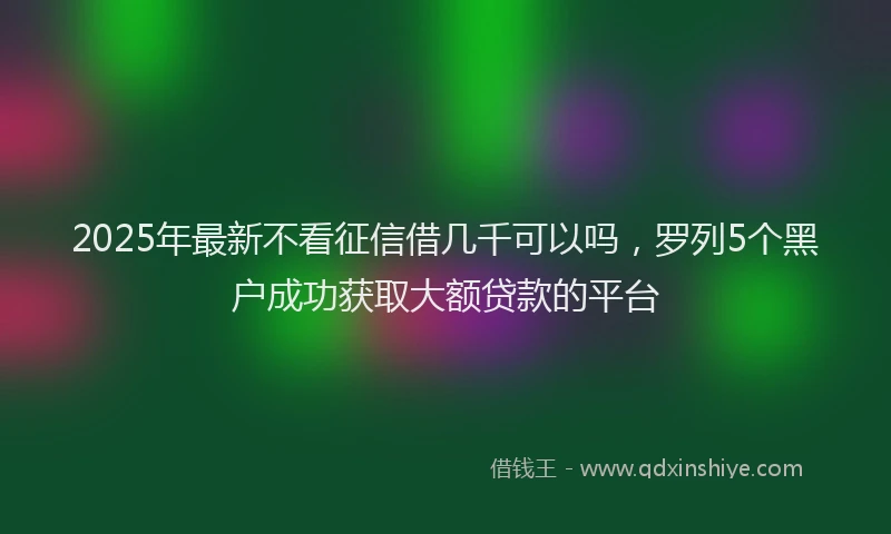 2025年最新不看征信借几千可以吗，罗列5个黑户成功获取大额贷款的平台