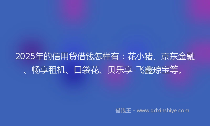 2025年的信用贷借钱怎样有：花小猪、京东金融、畅享租机、口袋花、贝乐享-飞鑫琼宝等。