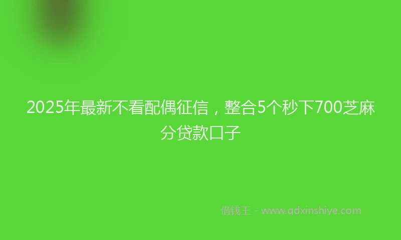 2025年最新不看配偶征信，整合5个秒下700芝麻分贷款口子