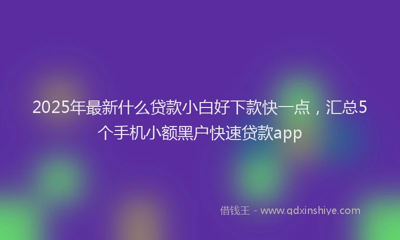 2025年最新什么贷款小白好下款快一点，汇总5个手机小额黑户快速贷款app