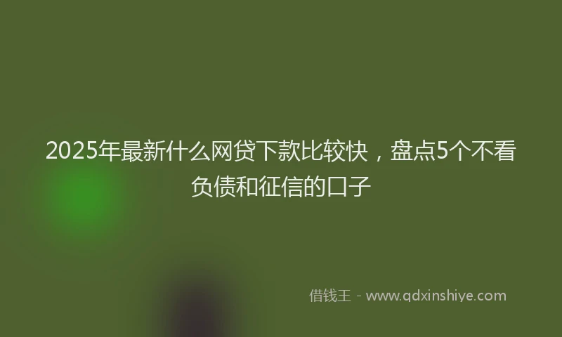 2025年最新什么网贷下款比较快，盘点5个不看负债和征信的口子