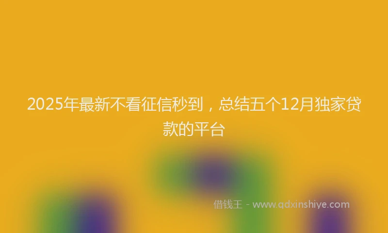 2025年最新不看征信秒到，总结五个12月独家贷款的平台