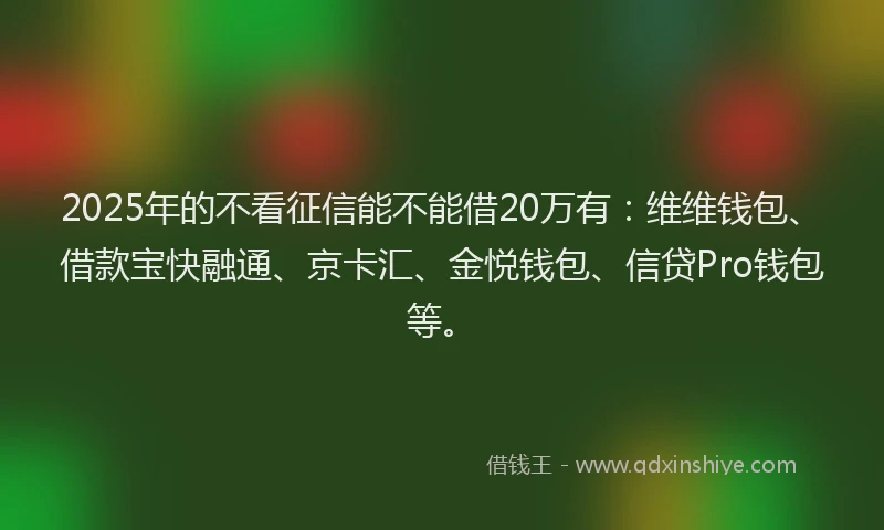 2025年的不看征信能不能借20万有：维维钱包、借款宝快融通、京卡汇、金悦钱包、信贷Pro钱包等。