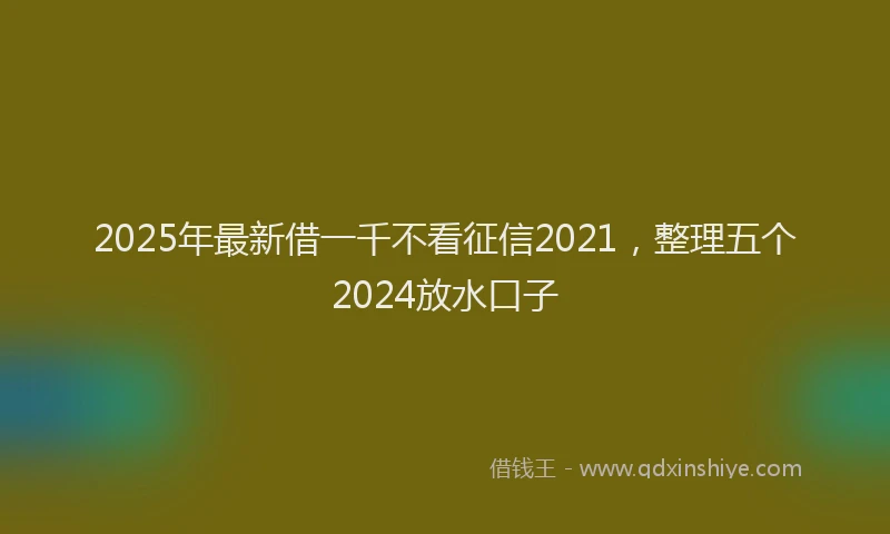 2025年最新借一千不看征信2021，整理五个2024放水口子
