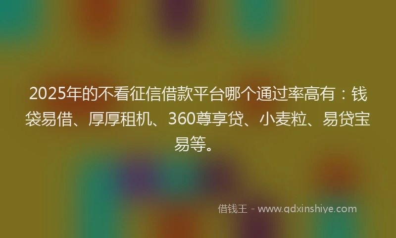 2025年的不看征信借款平台哪个通过率高有：钱袋易借、厚厚租机、360尊享贷、小麦粒、易贷宝易等。