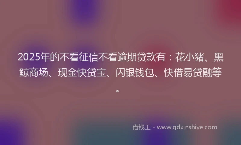 2025年的不看征信不看逾期贷款有：花小猪、黑鲸商场、现金快贷宝、闪银钱包、快借易贷融等。