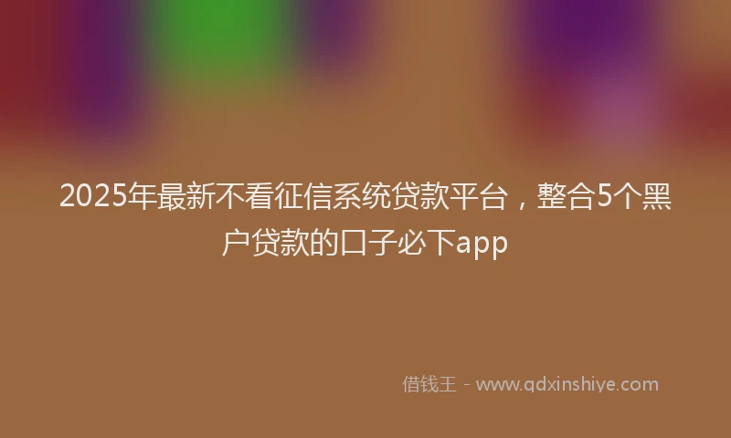2025年最新不看征信系统贷款平台，整合5个黑户贷款的口子必下app