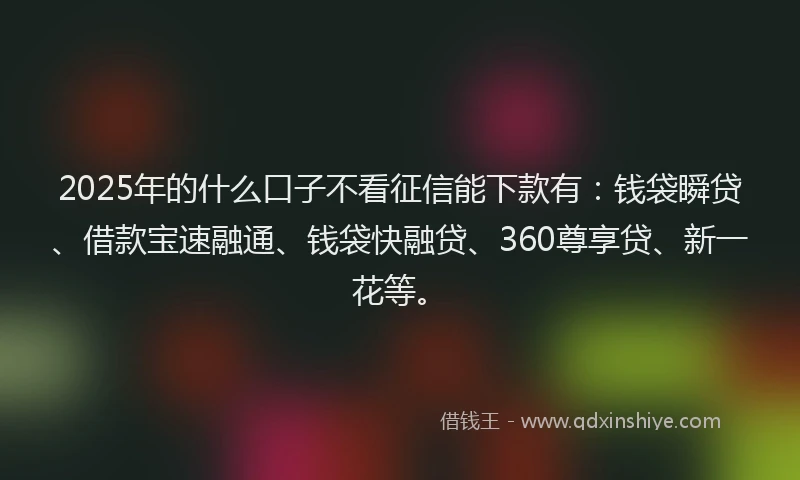 2025年的什么口子不看征信能下款有：钱袋瞬贷、借款宝速融通、钱袋快融贷、360尊享贷、新一花等。