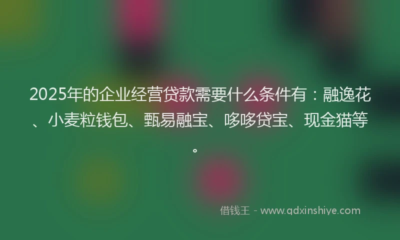 2025年的企业经营贷款需要什么条件有：融逸花、小麦粒钱包、甄易融宝、哆哆贷宝、现金猫等。