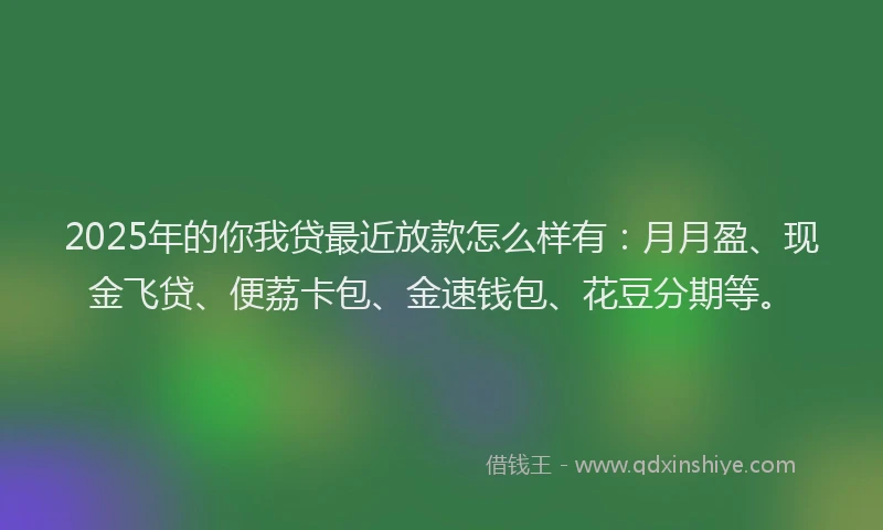 2025年的你我贷最近放款怎么样有：月月盈、现金飞贷、便荔卡包、金速钱包、花豆分期等。