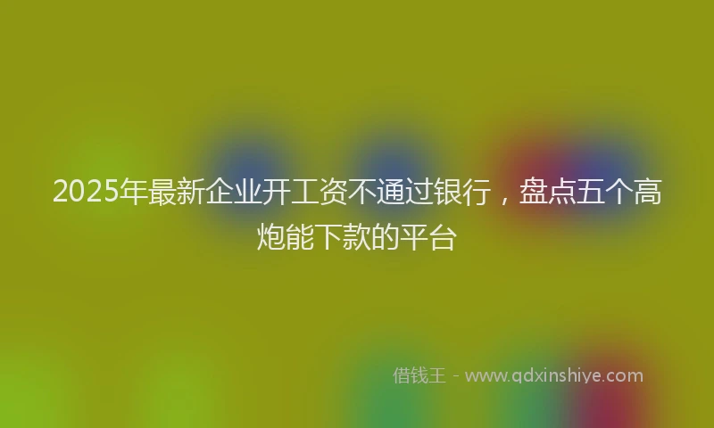 2025年最新企业开工资不通过银行，盘点五个高炮能下款的平台