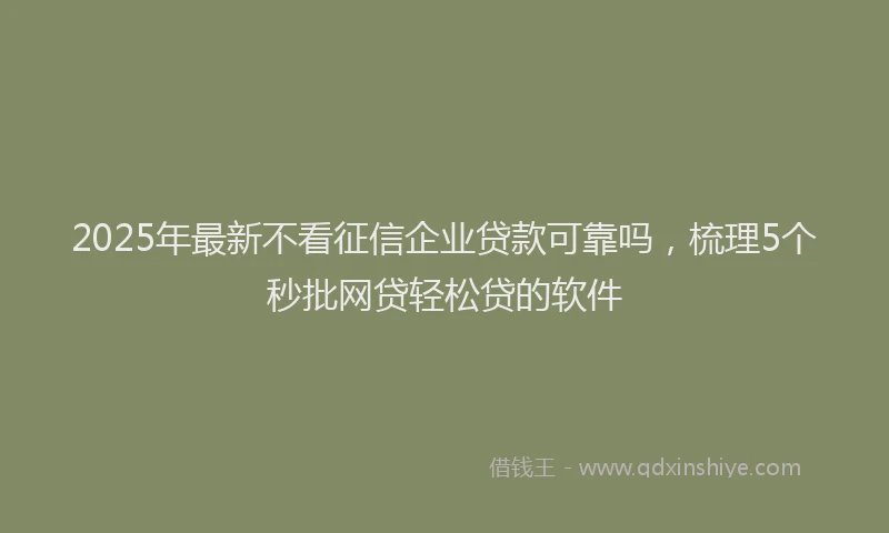 2025年最新不看征信企业贷款可靠吗，梳理5个秒批网贷轻松贷的软件