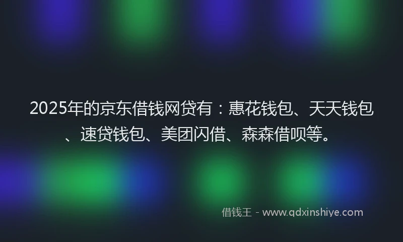 2025年的京东借钱网贷有：惠花钱包、天天钱包、速贷钱包、美团闪借、森森借呗等。
