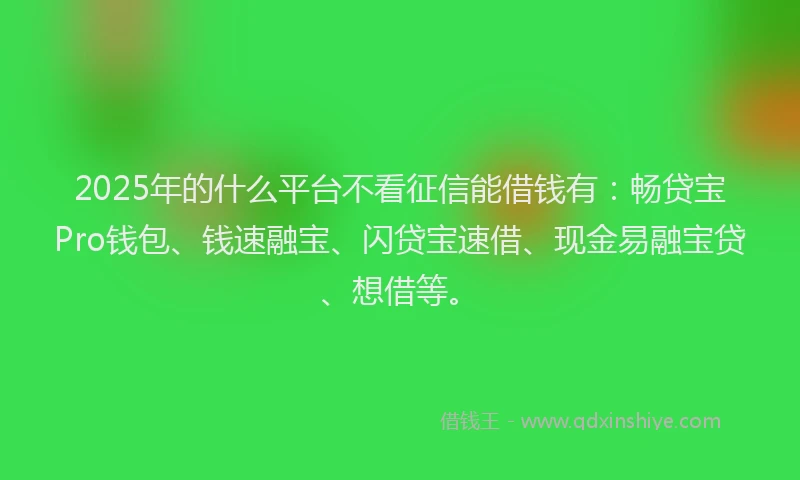2025年的什么平台不看征信能借钱有：畅贷宝Pro钱包、钱速融宝、闪贷宝速借、现金易融宝贷、想借等。