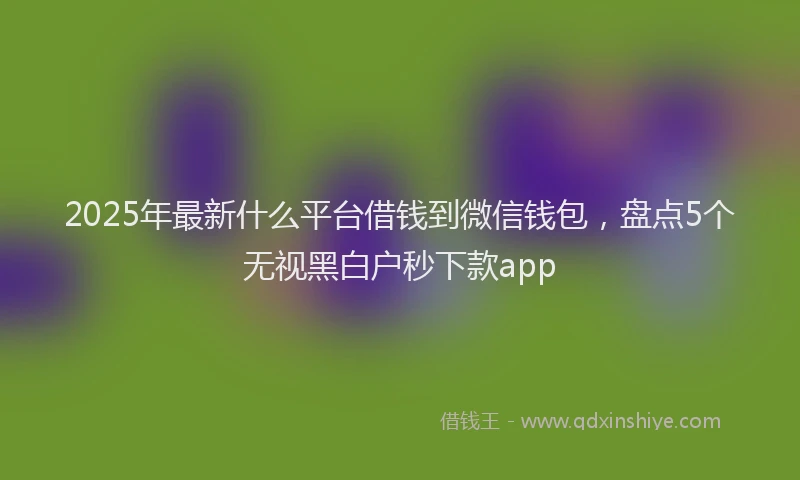 2025年最新什么平台借钱到微信钱包，盘点5个无视黑白户秒下款app