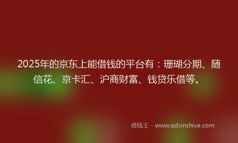 2025年的京东上能借钱的平台有：珊瑚分期、随信花、京卡汇、沪商财富、钱贷乐借等。