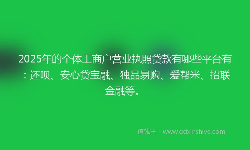 2025年的个体工商户营业执照贷款有哪些平台有：还呗、安心贷宝融、独品易购、爱帮米、招联金融等。