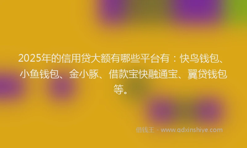 2025年的信用贷大额有哪些平台有：快鸟钱包、小鱼钱包、金小豚、借款宝快融通宝、翼贷钱包等。