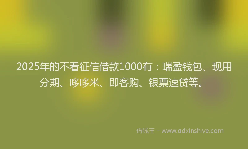 2025年的不看征信借款1000有：瑞盈钱包、现用分期、哆哆米、即客购、银票速贷等。