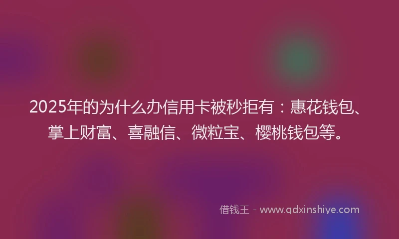 2025年的为什么办信用卡被秒拒有：惠花钱包、掌上财富、喜融信、微粒宝、樱桃钱包等。