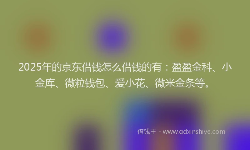 2025年的京东借钱怎么借钱的有：盈盈金科、小金库、微粒钱包、爱小花、微米金条等。