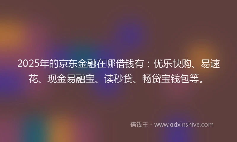 2025年的京东金融在哪借钱有：优乐快购、易速花、现金易融宝、读秒贷、畅贷宝钱包等。