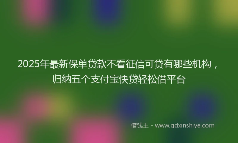 2025年最新保单贷款不看征信可贷有哪些机构，归纳五个支付宝快贷轻松借平台