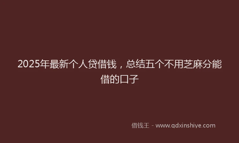 2025年最新个人贷借钱，总结五个不用芝麻分能借的口子