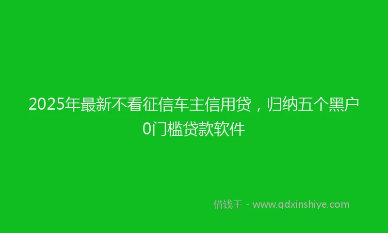 2025年最新不看征信车主信用贷，归纳五个黑户0门槛贷款软件