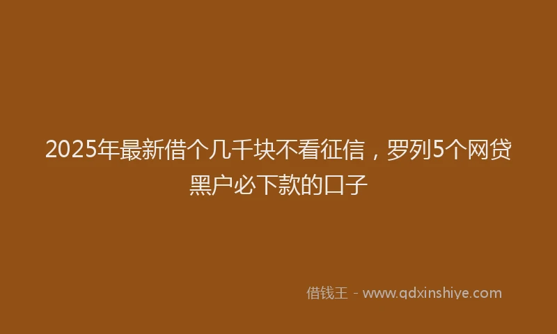 2025年最新借个几千块不看征信，罗列5个网贷黑户必下款的口子