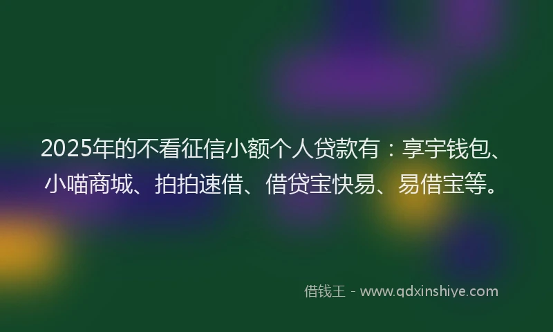 2025年的不看征信小额个人贷款有：享宇钱包、小喵商城、拍拍速借、借贷宝快易、易借宝等。