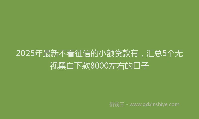 2025年最新不看征信的小额贷款有，汇总5个无视黑白下款8000左右的口子