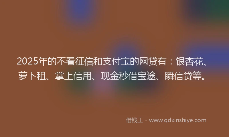 2025年的不看征信和支付宝的网贷有：银杏花、萝卜租、掌上信用、现金秒借宝途、瞬信贷等。