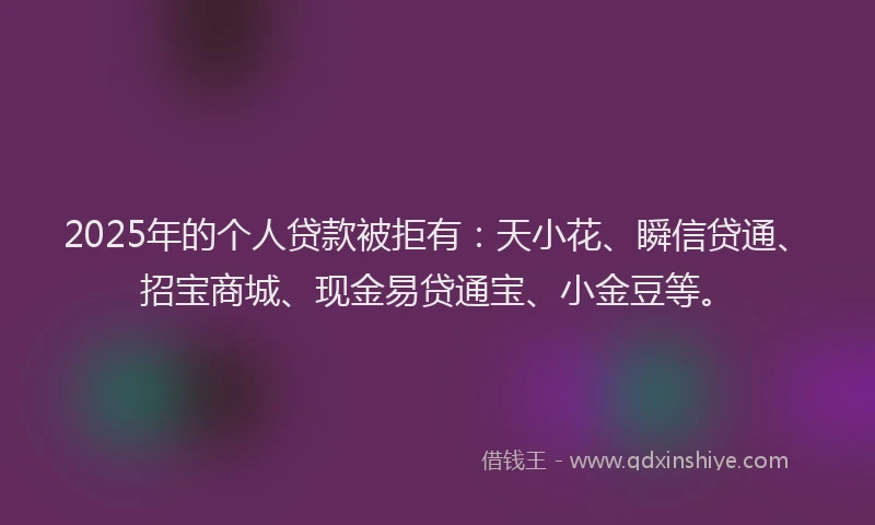 2025年的个人贷款被拒有：天小花、瞬信贷通、招宝商城、现金易贷通宝、小金豆等。