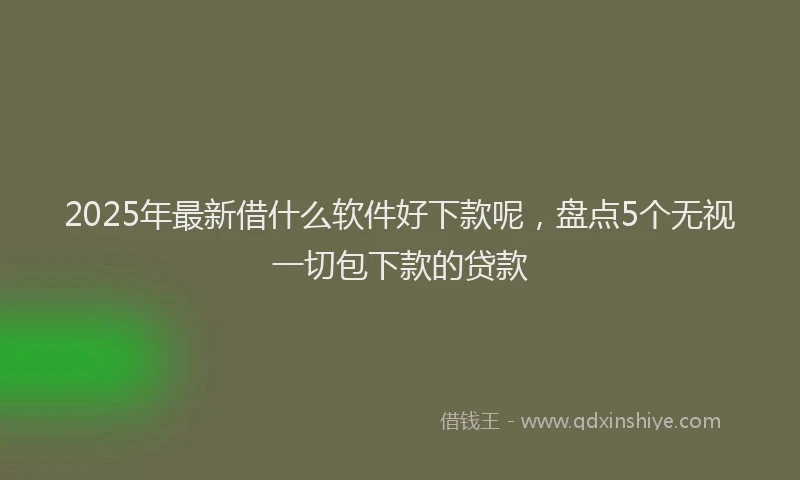 2025年最新借什么软件好下款呢，盘点5个无视一切包下款的贷款