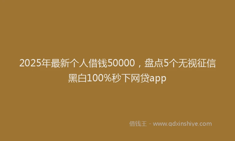 2025年最新个人借钱50000，盘点5个无视征信黑白100%秒下网贷app