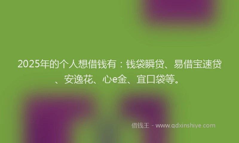2025年的个人想借钱有：钱袋瞬贷、易借宝速贷、安逸花、心e金、宜口袋等。