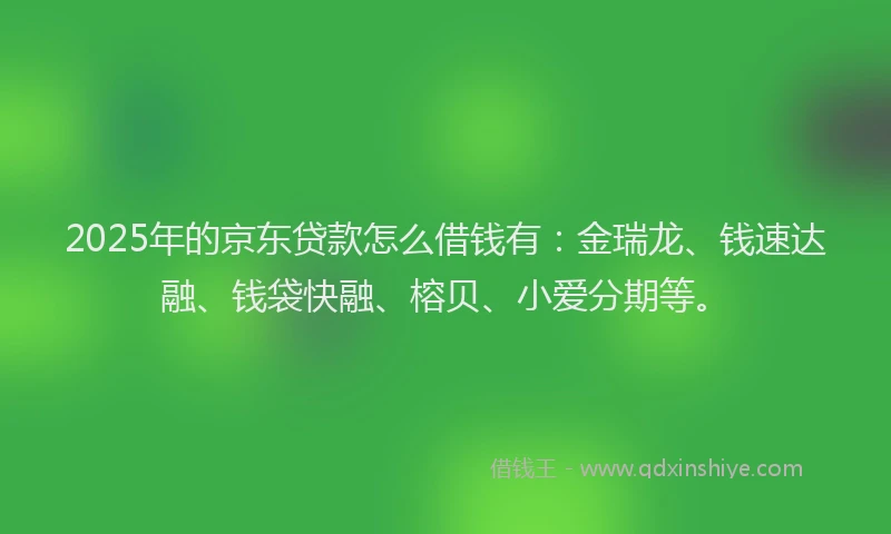 2025年的京东贷款怎么借钱有：金瑞龙、钱速达融、钱袋快融、榕贝、小爱分期等。