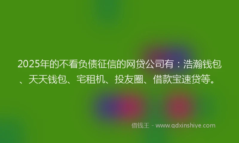 2025年的不看负债征信的网贷公司有：浩瀚钱包、天天钱包、宅租机、投友圈、借款宝速贷等。