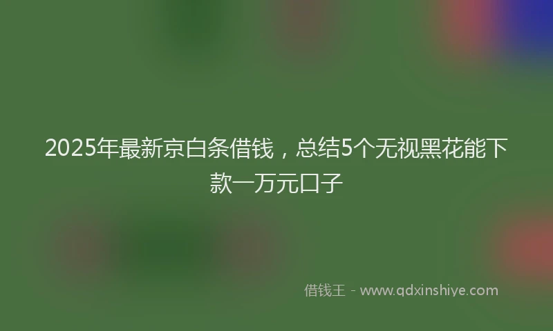 2025年最新京白条借钱，总结5个无视黑花能下款一万元口子