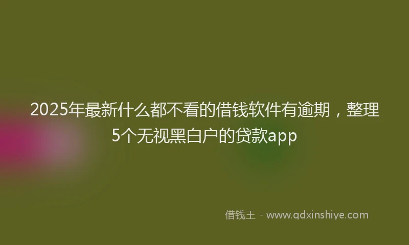 2025年最新什么都不看的借钱软件有逾期，整理5个无视黑白户的贷款app