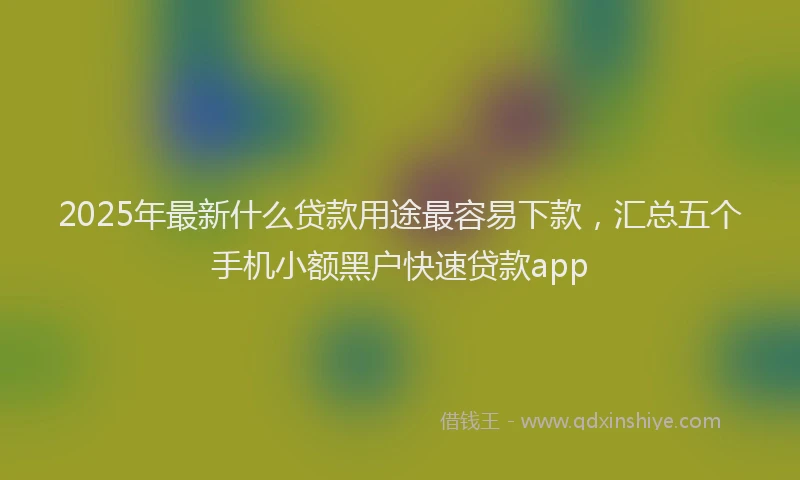 2025年最新什么贷款用途最容易下款，汇总五个手机小额黑户快速贷款app