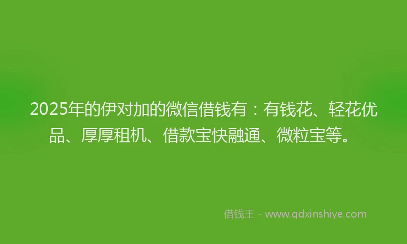 2025年的伊对加的微信借钱有：有钱花、轻花优品、厚厚租机、借款宝快融通、微粒宝等。