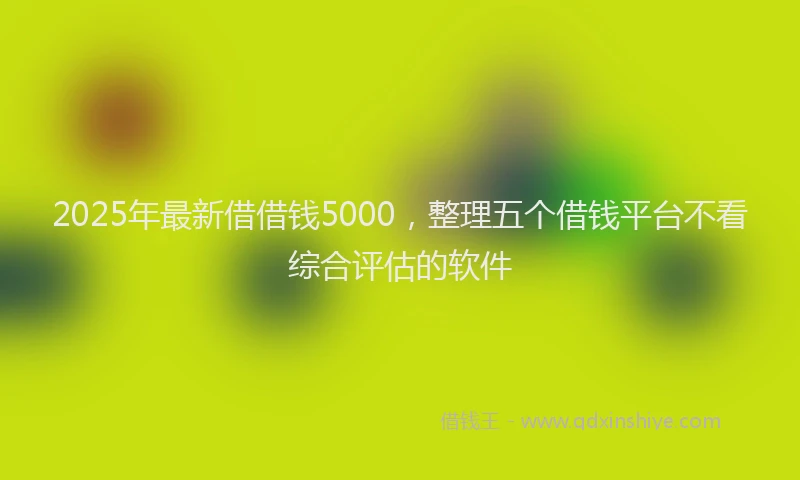 2025年最新借借钱5000，整理五个借钱平台不看综合评估的软件